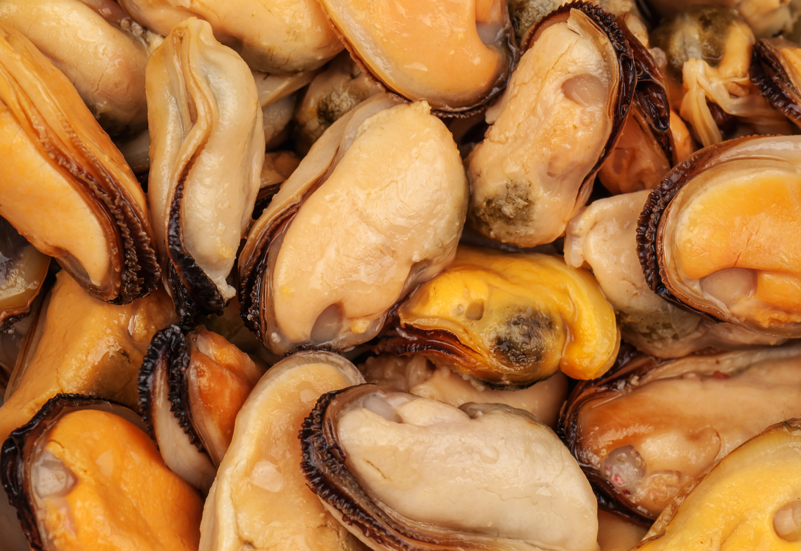 mejillones hero