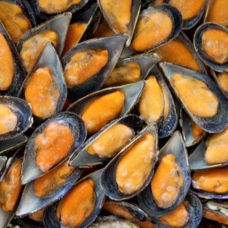 innovacion y tradicion en sector mejillones