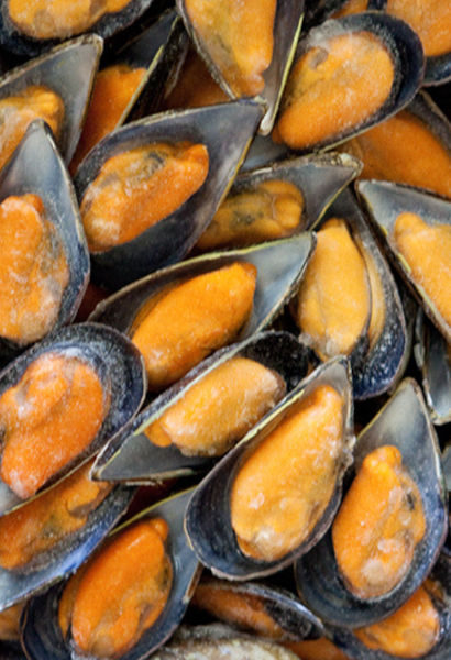 innovacion y tradicion en sector mejillones